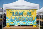 Vinyl Banner